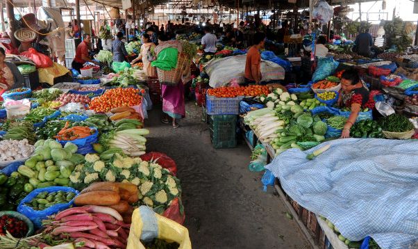 रातभर बसेर कालीमाटी भित्रिने तरकारीको विषादी परीक्षण, खानै नमिल्नेसम्म भेटिए
