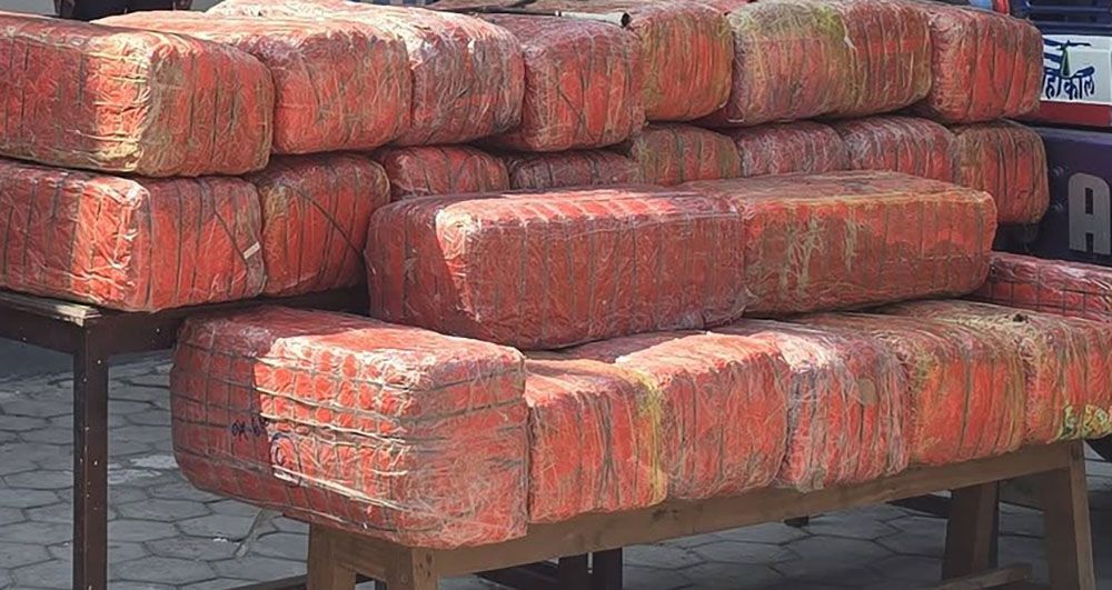 सुनसरी र पर्साबाट करिब १ हजार ११५ किलो गाँजासहित तीन जना पक्राउ